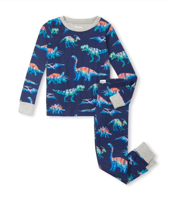 Boys Dino Cotton PJ Set